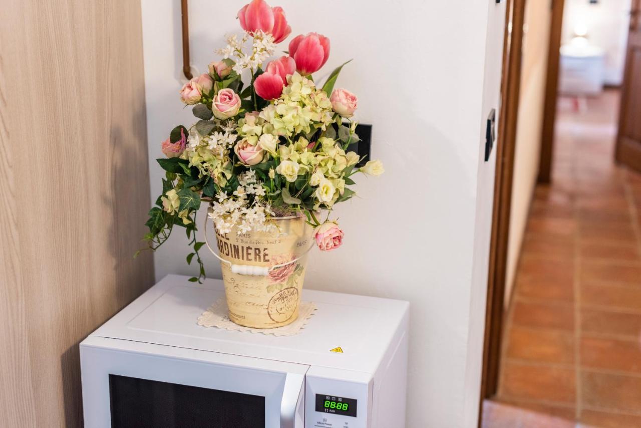 Conce Apartment Пиза Екстериор снимка